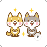 LINEスタンプ 動く！柴犬さんたちのシンプルスタンプ