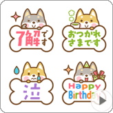 LINE絵文字 動く! チラッと顔出す柴犬さんたち絵文字
