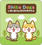 LINE着せ替え 柴犬さんたちの着せかえ